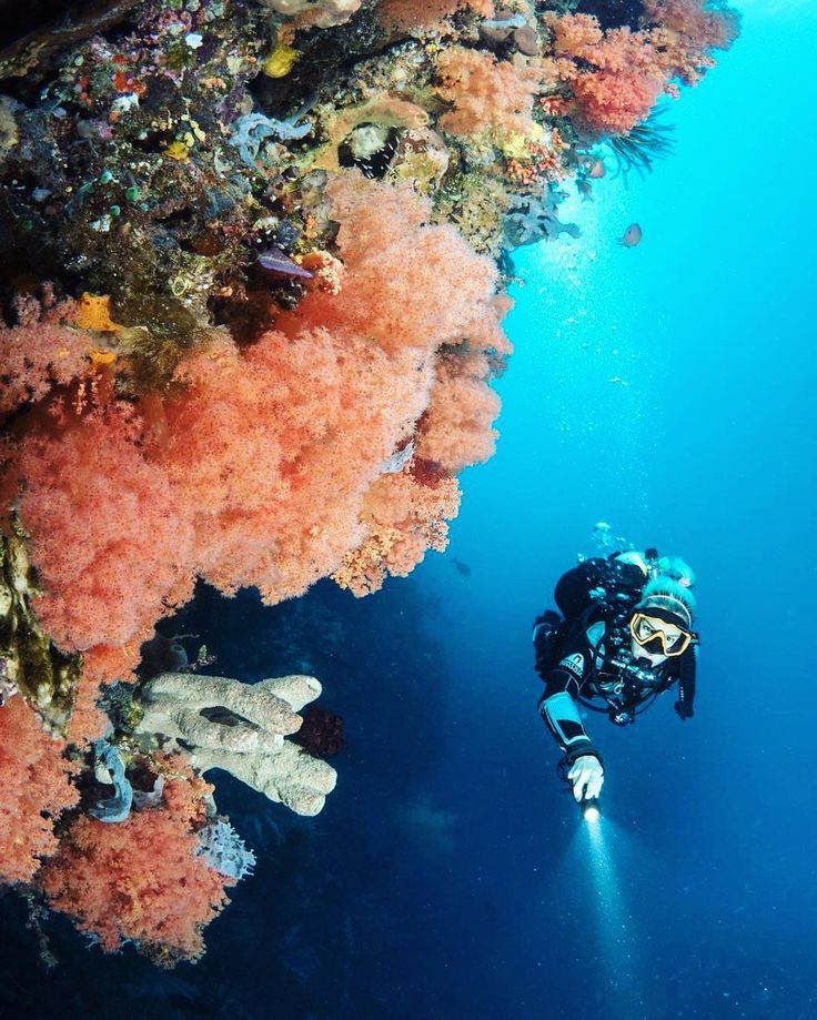 Pulau Alor