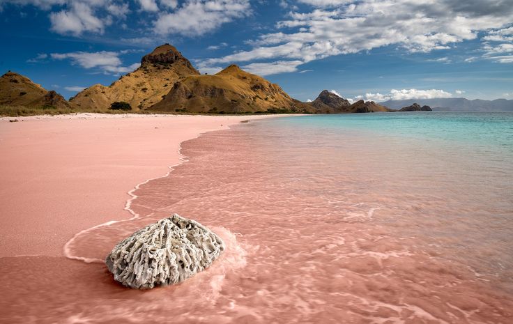 Pantai Pink
